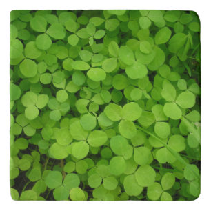 Lucky Shamrocks! Trivet