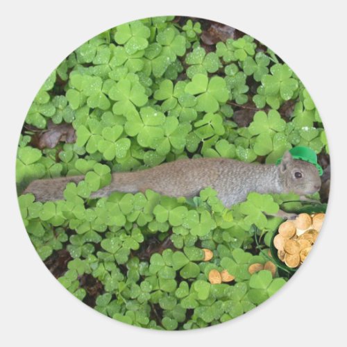 Lucky Squirrel in Clovers Classic Round Sticker