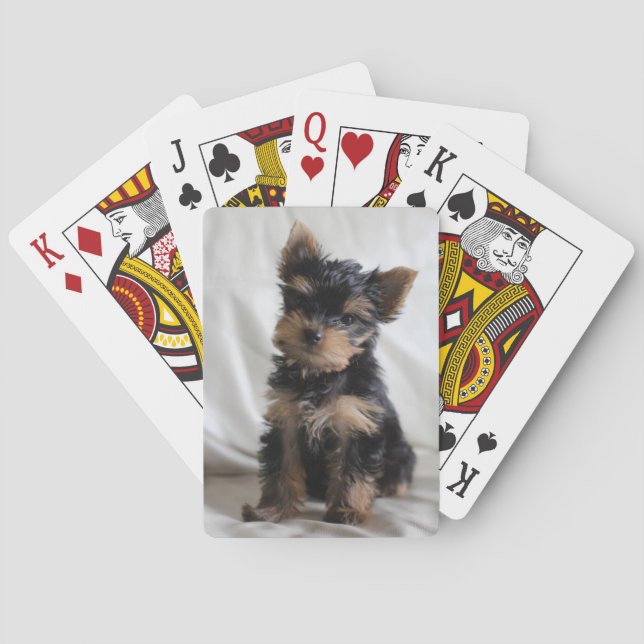 Lucky The Japanese Yorkie playing cards (Back)