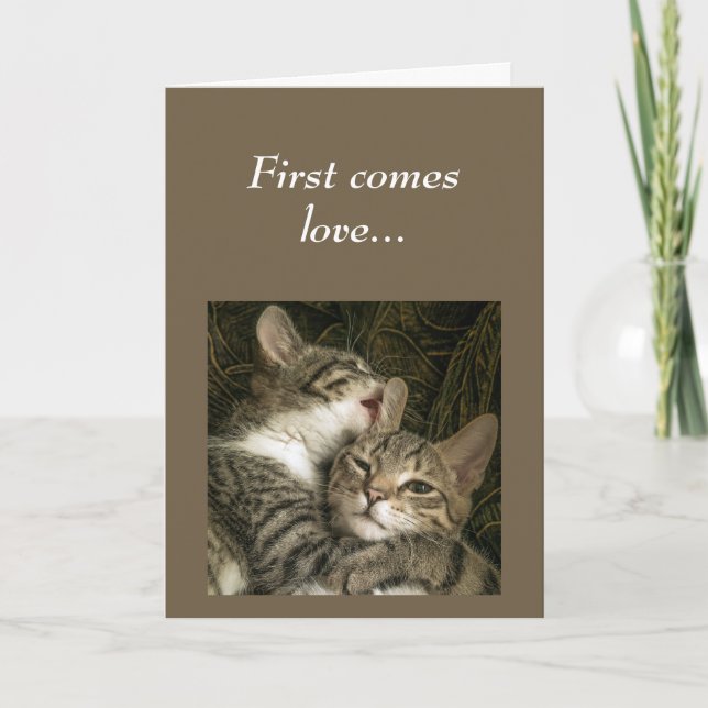 Lucky to have Anniversary Lucky Couple Humor Cats Card (Front)