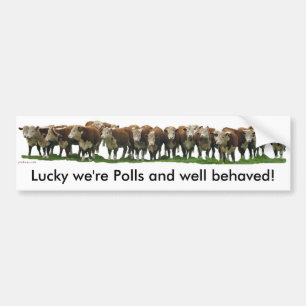 Lucky we're Poll Herefords Bumper Sticker