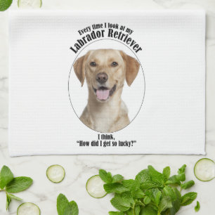 Lucky Yellow Lab Kitchen Towel