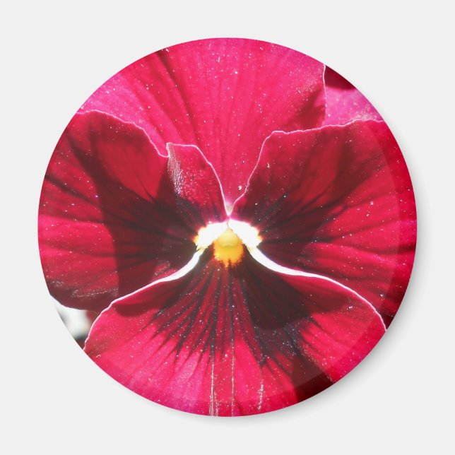 Lucrezia Magnet (Front)