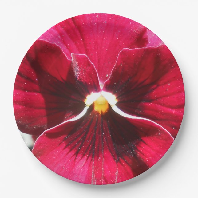 Lucrezia Paper Plates (Front)