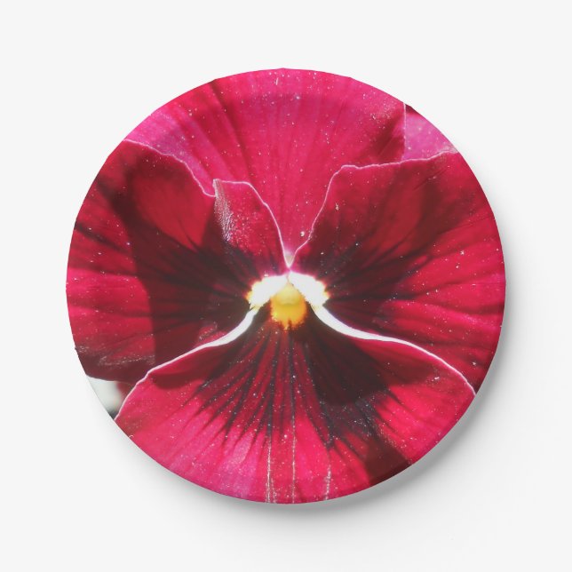 Lucrezia Paper Plates (Front)