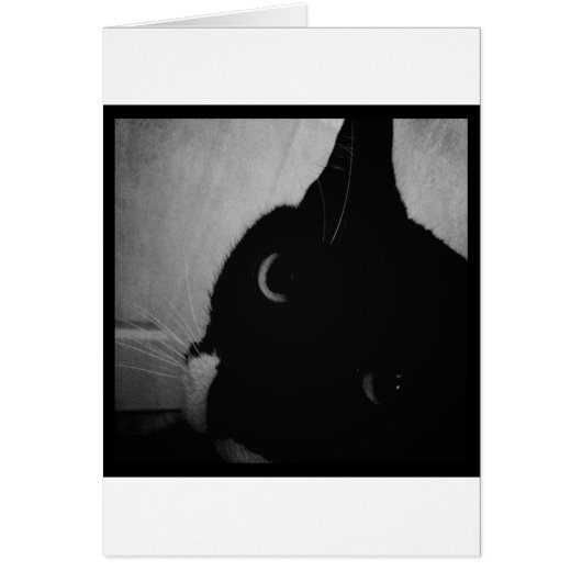 Lucy's Crazy Close-up (Front)