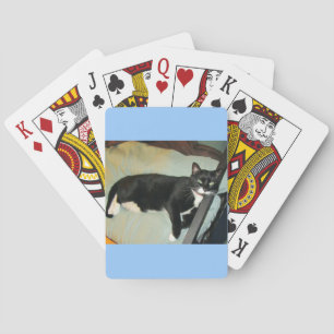 Lucy's Pillow Poker Cards