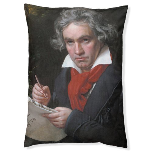 Ludwig Beethoven Symphony Classical Music Composer Pet Bed