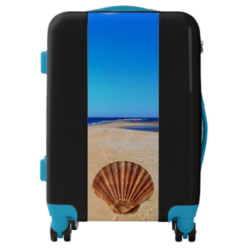 Luggage Beach Shells