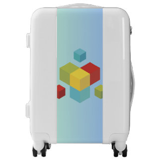 Luggage Cube