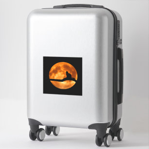 Luggage decal