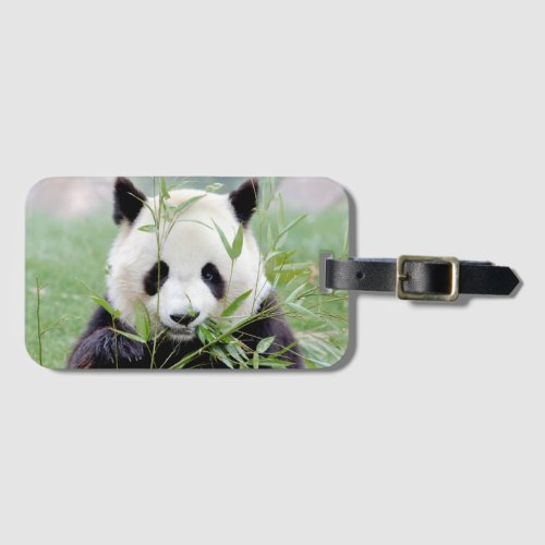 Luggage giant panda 4  luggage tag