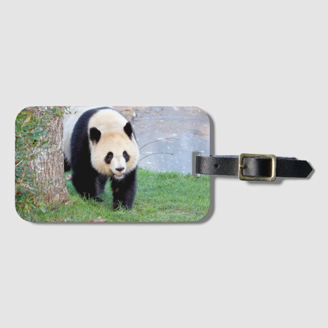 Luggage giant panda 5 . luggage tag (Front Horizontal)