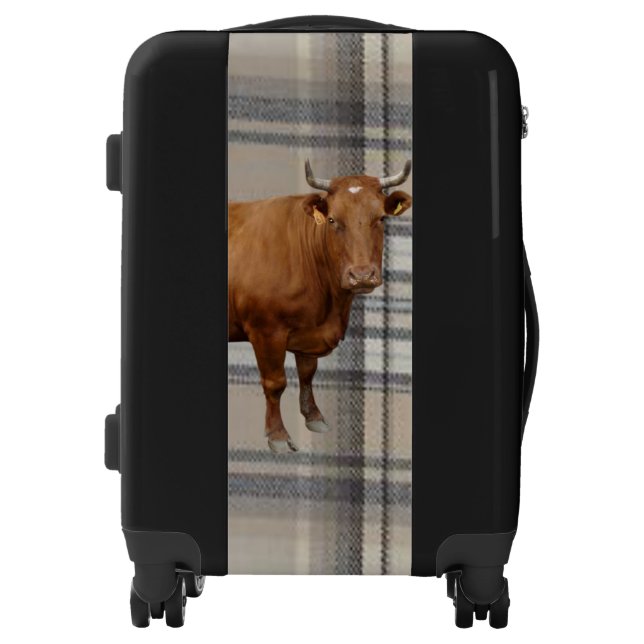 Luggage Plaid, Cow (Front)