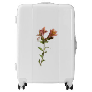 LUGGAGE SUITCASE TRAVEL ACCESSORIES DESIGN