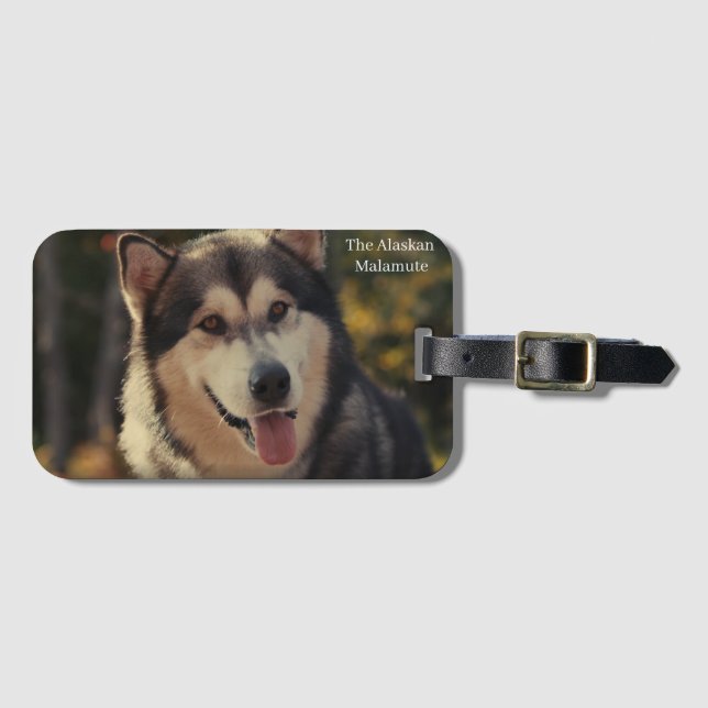 Luggage Tag (Front Horizontal)