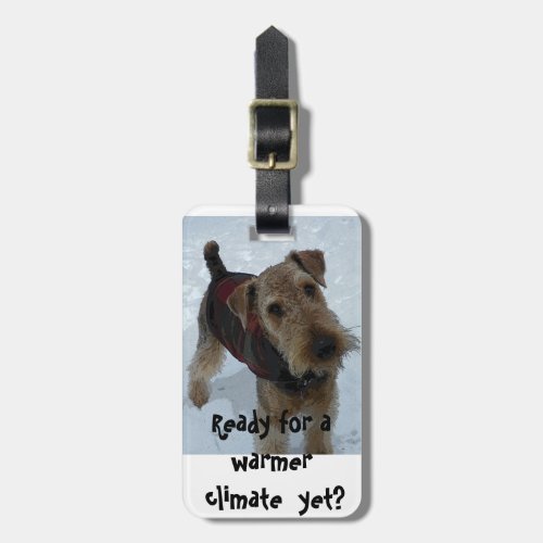 Luggage Tag Airedale Terrier