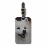 Luggage Tag - Customized