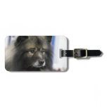 Luggage Tag - Customized