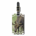 Luggage Tag - Customized