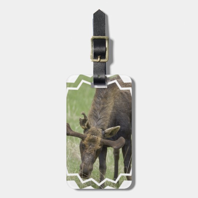 Luggage Tag - Customized (Front Vertical)