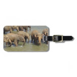 Luggage Tag - Customized