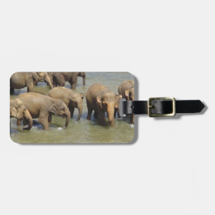 Luggage Tag - Customized