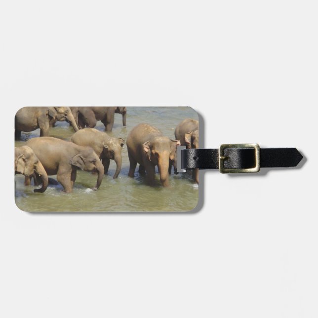 Luggage Tag - Customized (Front Horizontal)