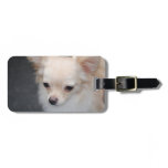 Luggage Tag - Customized