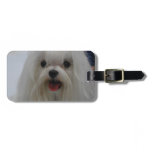 Luggage Tag - Customized
