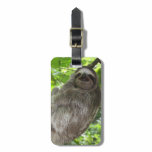 Luggage Tag - Customized