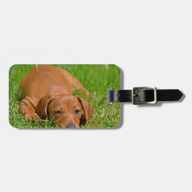 Luggage Tag - Customized (Front Horizontal)