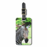 Luggage Tag - Customized