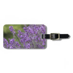 Luggage Tag - Customized
