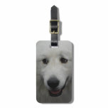 Luggage Tag - Customized