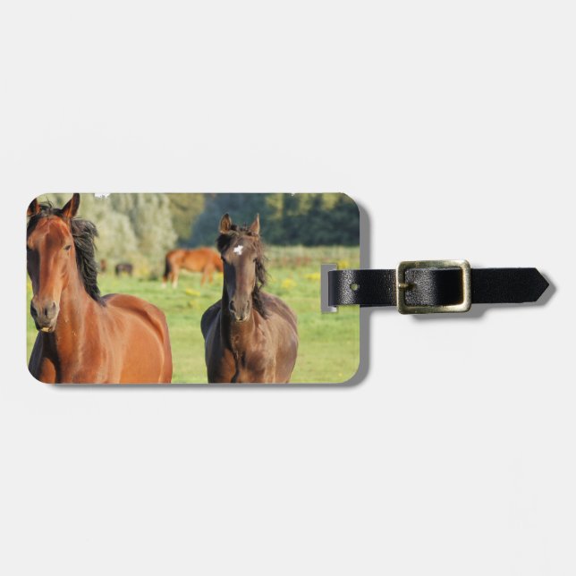 Luggage Tag - Customized (Front Horizontal)