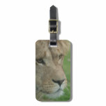 Luggage Tag - Customized