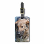 Luggage Tag - Customized