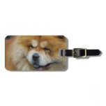 Luggage Tag - Customized