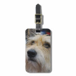 Luggage Tag - Customized