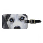 Luggage Tag - Customized