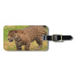Luggage Tag - Customized