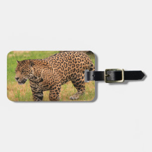 Luggage Tag - Customized