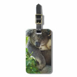 Luggage Tag - Customized