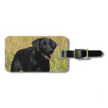 Luggage Tag - Customized