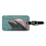 Luggage Tag - Customized