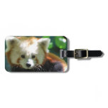 Luggage Tag - Customized