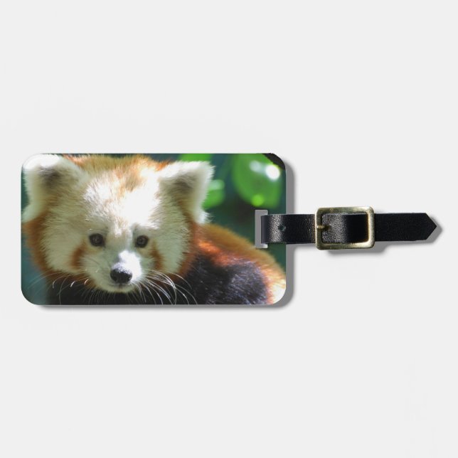 Luggage Tag - Customized (Front Horizontal)
