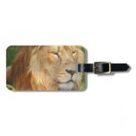 Luggage Tag - Customized