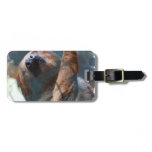 Luggage Tag - Customized